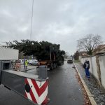 VIDEO: Na píseckém náměstí už stojí vánoční strom