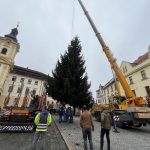 VIDEO: Na píseckém náměstí už stojí vánoční strom