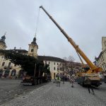 VIDEO: Na píseckém náměstí už stojí vánoční strom