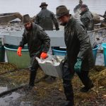 Výlov Dolanského rybníku rybáře mile překvapil. Vytáhli téměř 170 metráků ryb