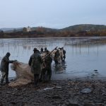 Výlov Dolanského rybníku rybáře mile překvapil. Vytáhli téměř 170 metráků ryb