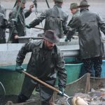 Výlov Dolanského rybníku rybáře mile překvapil. Vytáhli téměř 170 metráků ryb