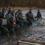 Výlov Dolanského rybníku rybáře mile překvapil. Vytáhli téměř 170 metráků ryb