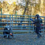 Zoo Dvorec přestěhovala některá zvířata do vnitřních ubikací. Návštěvníci o pohled na ně ale nepřijdou