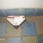 Nepořádek a myši. Inspekce uzavřela na jeden den obchod v Táboře