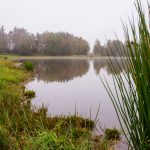 Kde voda znovu našla cestu – krajina rybníků, mokřadů a nových biotopů na rekultivovaných rašeliništích