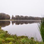 Kde voda znovu našla cestu – krajina rybníků, mokřadů a nových biotopů na rekultivovaných rašeliništích