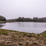 Kde voda znovu našla cestu – krajina rybníků, mokřadů a nových biotopů na rekultivovaných rašeliništích