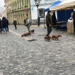 Advent v Písku odstartovalo žehnání věncům. Otevřel se i jarmark a kluziště