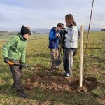 Město Písek obnovuje zaniklou historickou polní cestu do Putimi