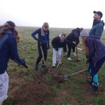 Město Písek obnovuje zaniklou historickou polní cestu do Putimi