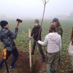 Město Písek obnovuje zaniklou historickou polní cestu do Putimi