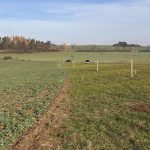 Město Písek obnovuje zaniklou historickou polní cestu do Putimi