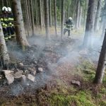 U Čestic hořel les. Hasiči se k němu s cisternou nedostali, museli využít čtyřkolku