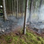 U Čestic hořel les. Hasiči se k němu s cisternou nedostali, museli využít čtyřkolku