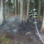 U Čestic hořel les. Hasiči se k němu s cisternou nedostali, museli využít čtyřkolku