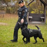 Ředitel Městské policie v Českých Budějovicích Martin Hrinko: Už neděláme nábor, ale výběr