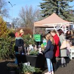 U kulturního domu to žilo Veselským trhem