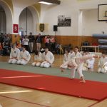 Táborské sokolovně je 120 let. K výročí se otevřela veřejnosti, sokolové nadchli diváky tělocvičnou akademií