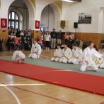 Táborské sokolovně je 120 let. K výročí se otevřela veřejnosti, sokolové nadchli diváky tělocvičnou akademií