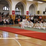 Táborské sokolovně je 120 let. K výročí se otevřela veřejnosti, sokolové nadchli diváky tělocvičnou akademií