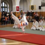 Táborské sokolovně je 120 let. K výročí se otevřela veřejnosti, sokolové nadchli diváky tělocvičnou akademií