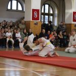 Táborské sokolovně je 120 let. K výročí se otevřela veřejnosti, sokolové nadchli diváky tělocvičnou akademií