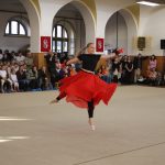 Táborské sokolovně je 120 let. K výročí se otevřela veřejnosti, sokolové nadchli diváky tělocvičnou akademií