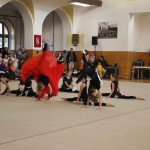 Táborské sokolovně je 120 let. K výročí se otevřela veřejnosti, sokolové nadchli diváky tělocvičnou akademií