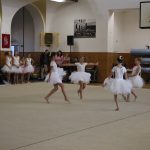 Táborské sokolovně je 120 let. K výročí se otevřela veřejnosti, sokolové nadchli diváky tělocvičnou akademií