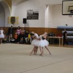 Táborské sokolovně je 120 let. K výročí se otevřela veřejnosti, sokolové nadchli diváky tělocvičnou akademií