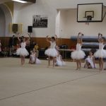 Táborské sokolovně je 120 let. K výročí se otevřela veřejnosti, sokolové nadchli diváky tělocvičnou akademií