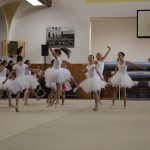 Táborské sokolovně je 120 let. K výročí se otevřela veřejnosti, sokolové nadchli diváky tělocvičnou akademií