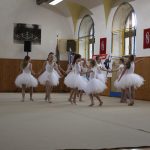 Táborské sokolovně je 120 let. K výročí se otevřela veřejnosti, sokolové nadchli diváky tělocvičnou akademií