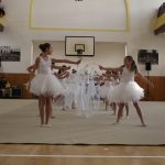 Táborské sokolovně je 120 let. K výročí se otevřela veřejnosti, sokolové nadchli diváky tělocvičnou akademií