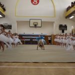 Táborské sokolovně je 120 let. K výročí se otevřela veřejnosti, sokolové nadchli diváky tělocvičnou akademií