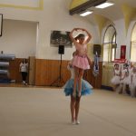 Táborské sokolovně je 120 let. K výročí se otevřela veřejnosti, sokolové nadchli diváky tělocvičnou akademií