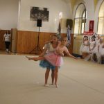 Táborské sokolovně je 120 let. K výročí se otevřela veřejnosti, sokolové nadchli diváky tělocvičnou akademií