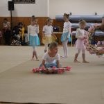 Táborské sokolovně je 120 let. K výročí se otevřela veřejnosti, sokolové nadchli diváky tělocvičnou akademií