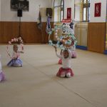 Táborské sokolovně je 120 let. K výročí se otevřela veřejnosti, sokolové nadchli diváky tělocvičnou akademií