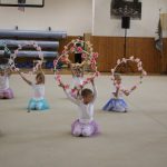 Táborské sokolovně je 120 let. K výročí se otevřela veřejnosti, sokolové nadchli diváky tělocvičnou akademií