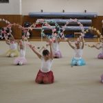 Táborské sokolovně je 120 let. K výročí se otevřela veřejnosti, sokolové nadchli diváky tělocvičnou akademií