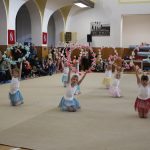 Táborské sokolovně je 120 let. K výročí se otevřela veřejnosti, sokolové nadchli diváky tělocvičnou akademií