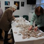 Bleší trh v Bechyni pomáhá s restaurováním muzejních sbírek