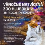V Zoo Hluboká rozsvítili veverku. Adventní světelná akce láká již popatnácté