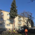 Kvůli rekonstrukci centra Strakonic ozdobí letos vánoční strom Palackého náměstí