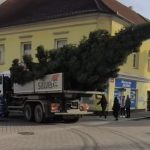 Kvůli rekonstrukci centra Strakonic ozdobí letos vánoční strom Palackého náměstí