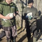 Zoo Dvorec přestěhovala některá zvířata do vnitřních ubikací. Návštěvníci o pohled na ně ale nepřijdou