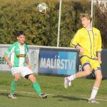 V Roudném udělal rozdíl ve skóre střelec Kadlec. Výstavní trefou pojistil výhru Malše