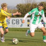 V Roudném udělal rozdíl ve skóre střelec Kadlec. Výstavní trefou pojistil výhru Malše